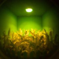 Détail de l'installation de Zach Ferguson.